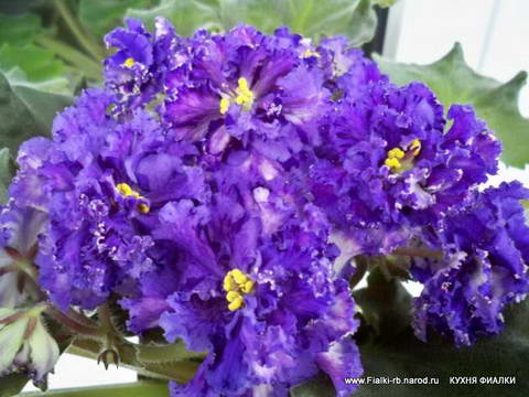 ЕК-Солнечный Мальчик спорт